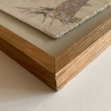 Load image into Gallery viewer, Reaching Out, Ash, Cramond
