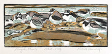 Load image into Gallery viewer, Ringed Plovers
