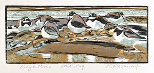 Ringed Plovers
