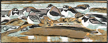 Load image into Gallery viewer, Ringed Plovers
