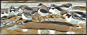 Ringed Plovers