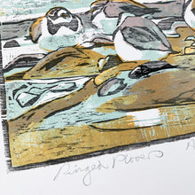Load image into Gallery viewer, Ringed Plovers
