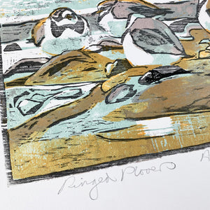 Ringed Plovers