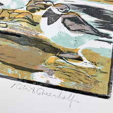 Load image into Gallery viewer, Ringed Plovers
