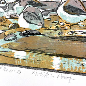 Ringed Plovers
