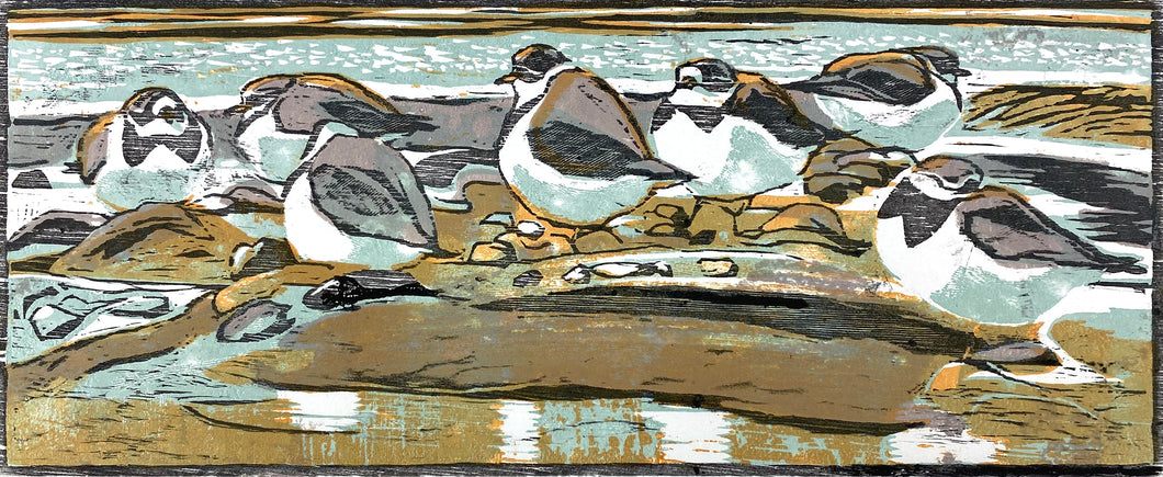 Ringed Plovers