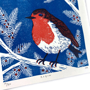Robin