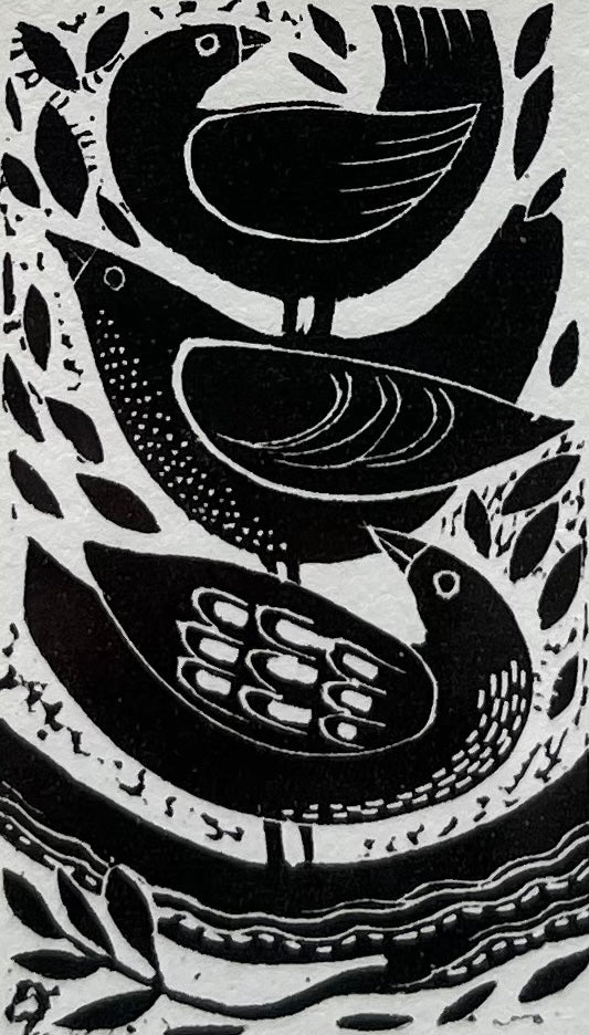 Roost