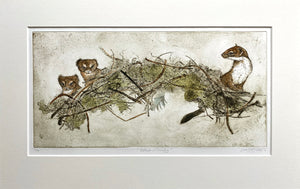 Stoat Family