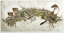 Load image into Gallery viewer, Stoat Family

