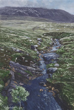 Load image into Gallery viewer, Stream, Rhiconich
