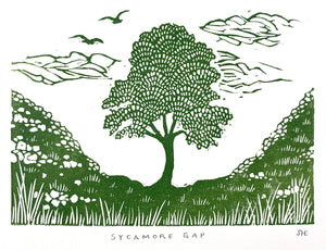 Sycamore Gap
