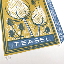 Load image into Gallery viewer, Teasel
