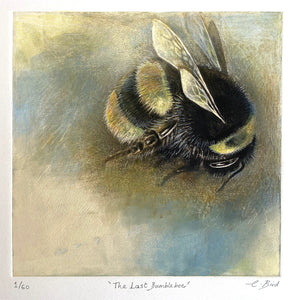 The Last Bumblebee