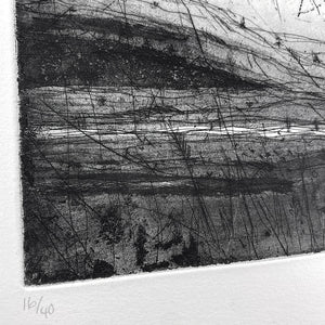 The Murmuration Tree