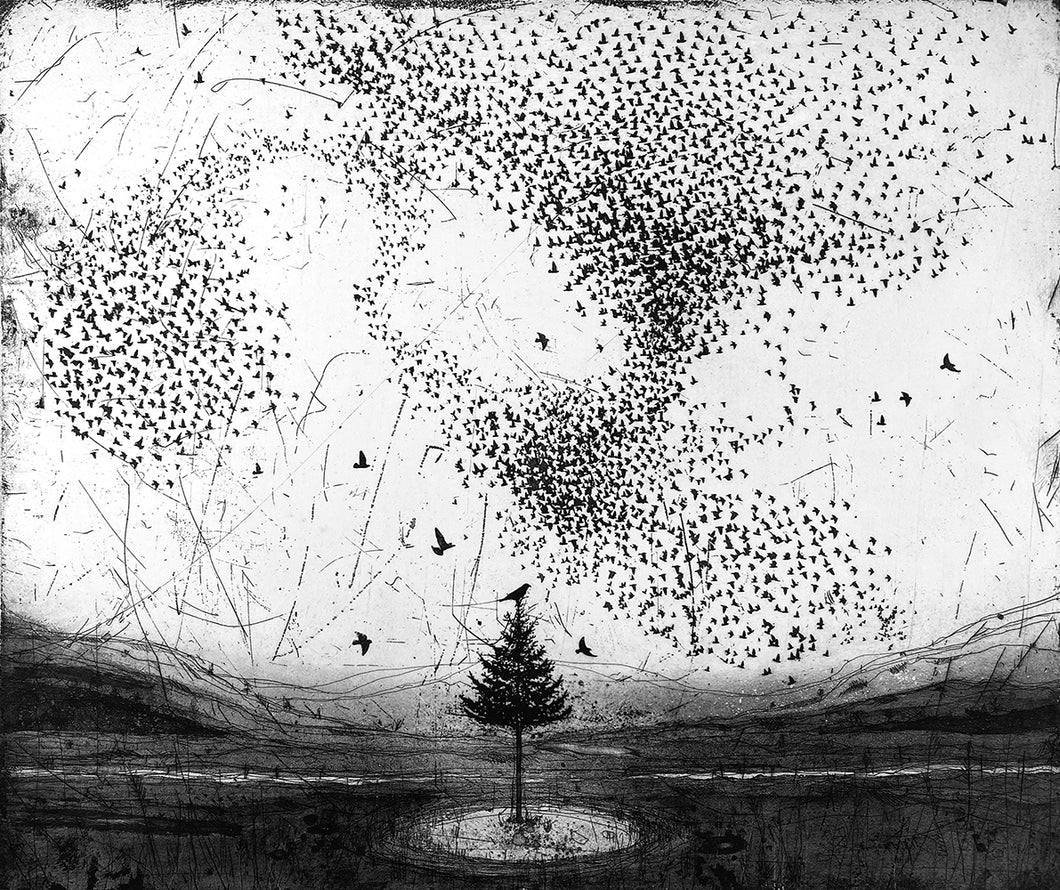 The Murmuration Tree