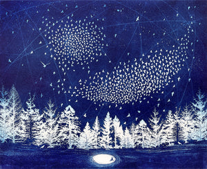 The Starry Messenger