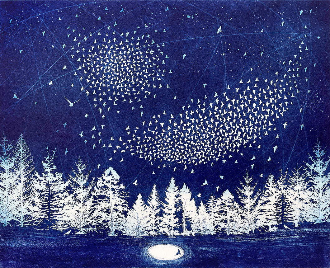 The Starry Messenger