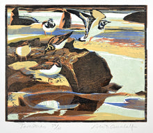 Load image into Gallery viewer, Turnstones
