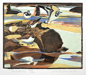 Turnstones