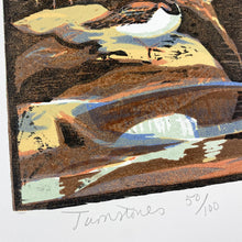 Load image into Gallery viewer, Turnstones
