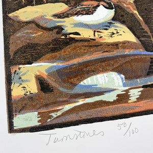 Turnstones