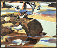 Load image into Gallery viewer, Turnstones
