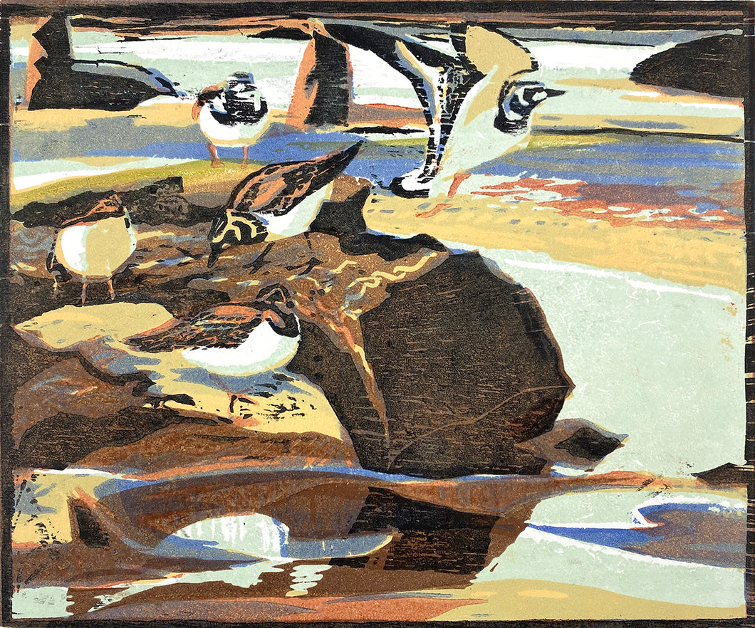 Turnstones