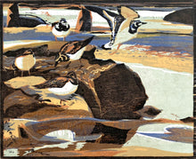 Load image into Gallery viewer, Turnstones
