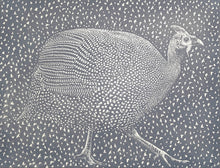 Load image into Gallery viewer, How the Guinea Fowl Lost It's Spots
