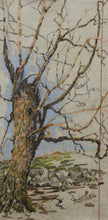 Load image into Gallery viewer, Weathered Ash, Bridlebank
