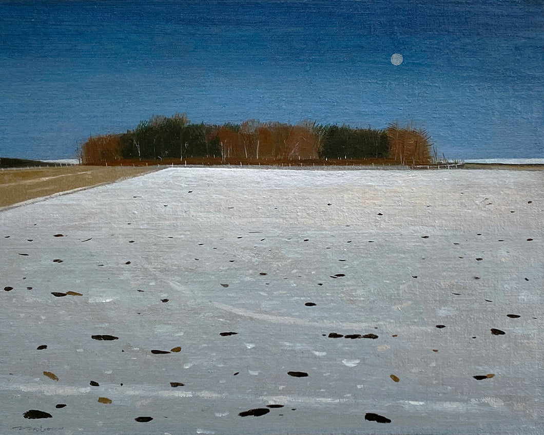 Winter Field and Full Moon