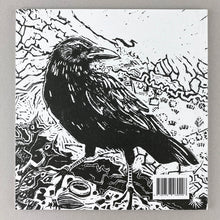 Load image into Gallery viewer, Yesterday&#39;s Parties - Book
