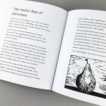 Load image into Gallery viewer, Yesterday&#39;s Parties - Book
