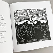 Load image into Gallery viewer, Yesterday&#39;s Parties - Book
