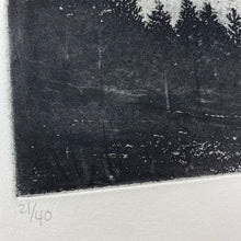 Load image into Gallery viewer, ... and then Songs Filled the Air
