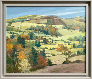 Autumn Hillside