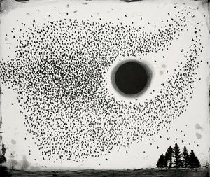 Dark Sun Murmuration