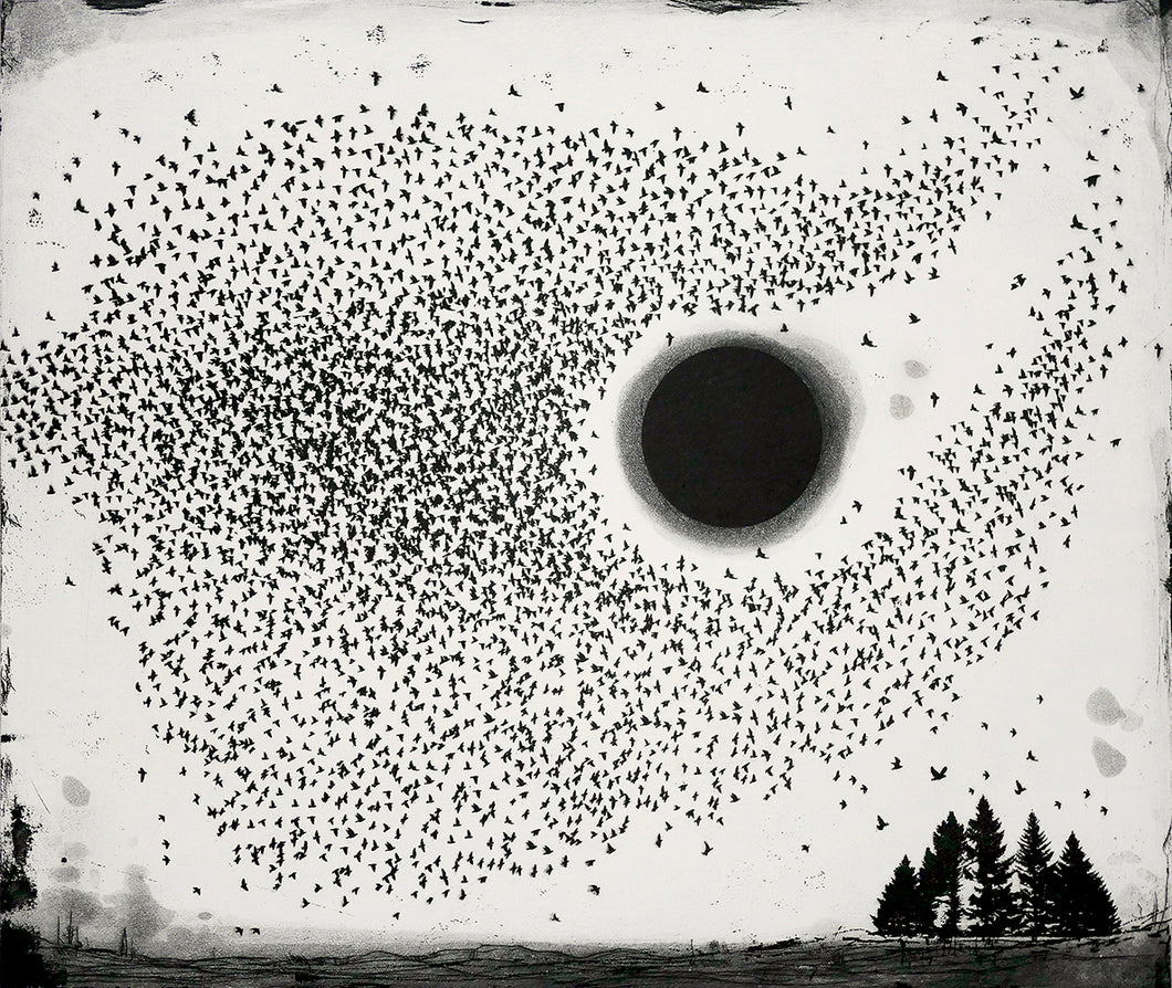 Dark Sun Murmuration
