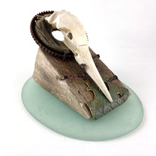 Load image into Gallery viewer, Gannet Crown

