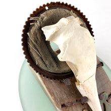 Load image into Gallery viewer, Gannet Crown
