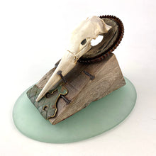 Load image into Gallery viewer, Gannet Crown
