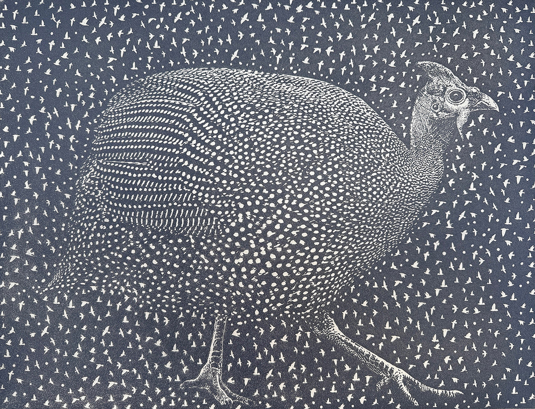 How the Guinea Fowl Lost its Spots