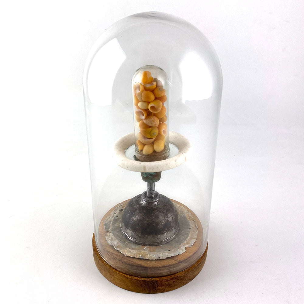 Glass Dome II