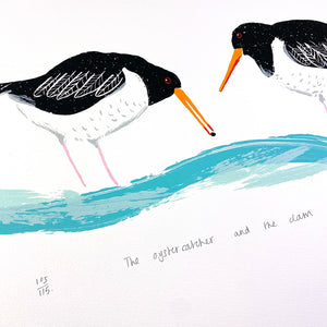 The Oystercatcher and the Clam