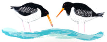 Load image into Gallery viewer, The Oystercatcher and the Clam
