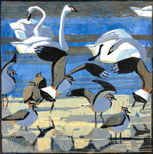 Load image into Gallery viewer, Bewick&#39;s Swans &amp; Lapwings
