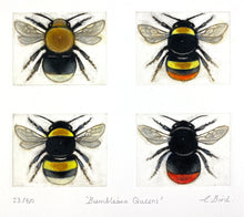 Load image into Gallery viewer, Bumblebee Queens
