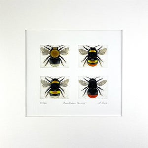 Bumblebee Queens