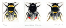 Load image into Gallery viewer, Bumblebee Triptych
